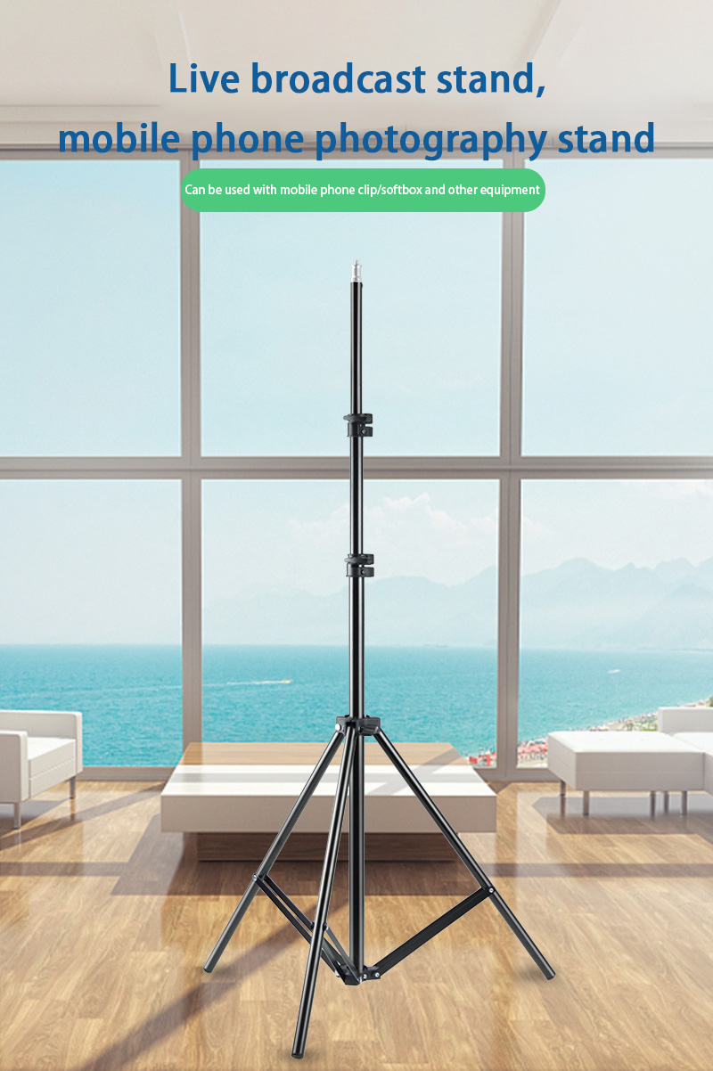 110cm Universal Portable Brack - đánh giá và giá Mini Projector Portable
